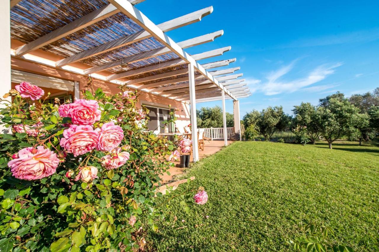 Villa Nobel Gaea Preveza Exterior foto